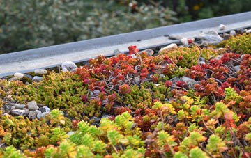 the cost of Trumpington green roof installation