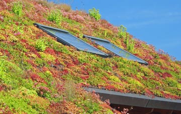 Trumpington living roof systems