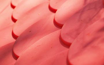 Trumpington plastic roof costs