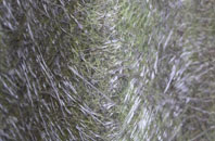 Trumpington fibreglass roof work